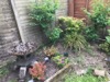 Japanese Corner 1