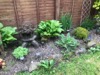 Japanese Corner 2