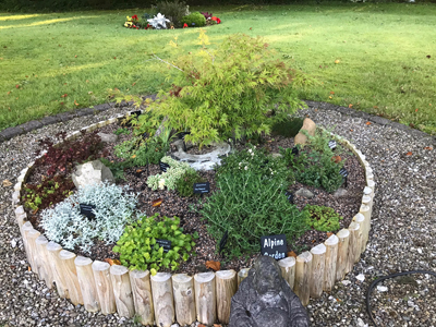 alpine garden