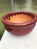 Plant container