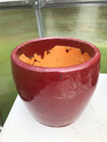 Plant container
