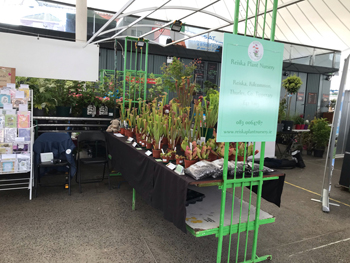 Reiska Plant Nursery stand