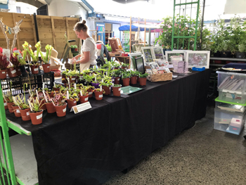 Reiska Plant Nursery stand