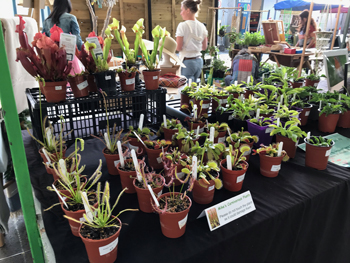 Reiska Plant Nursery stand